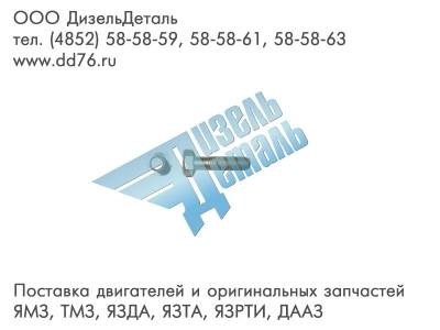 310046-П29 Болт М10-6gх40