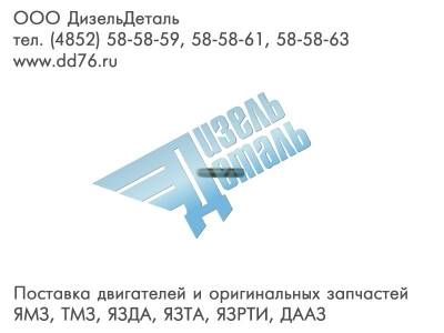 310414-П29 Шпилька М6х1Т