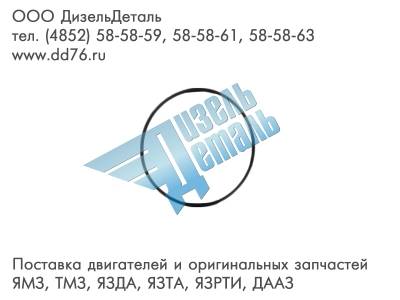 5003065044 Кольцо резиновое