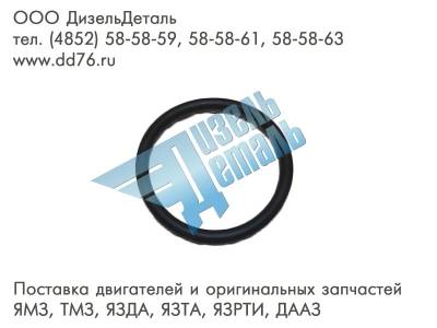 5010240568 Кольцо резиновое