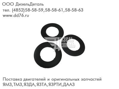 5010550496 Прокладка насоса водяного